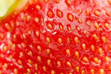 Similar image 289315