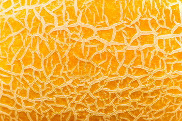 Similar image 289319