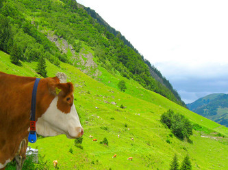 Similar image 289365