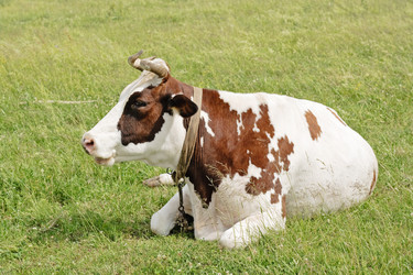 Similar image 289367