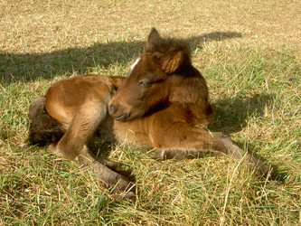 Similar image 289369