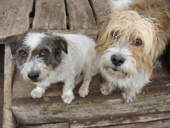 Similar image 289370