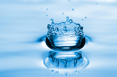 Similar image 289374