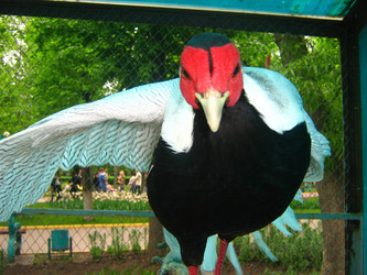 Similar image 289376