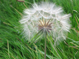 Similar image 289387