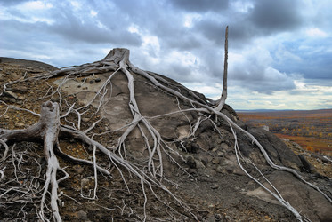 Similar image 289409