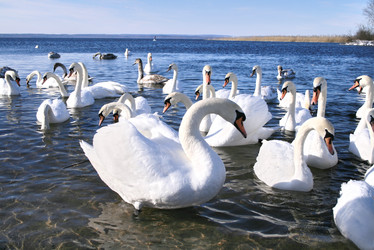 Similar image 289427