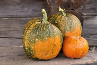 Similar image 289451