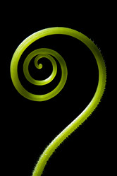 Similar image 289456