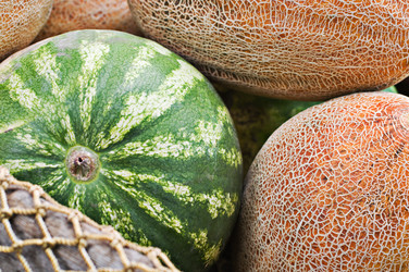 Similar image 289463