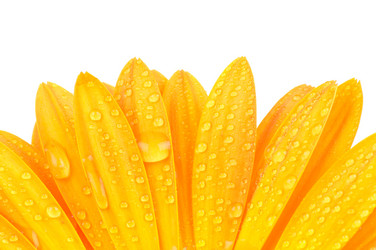 Similar image 289472