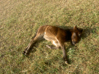 Similar image 289476