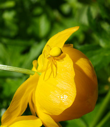 Similar image 289478