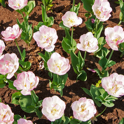 Similar image 289489