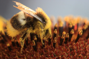 Similar image 289497