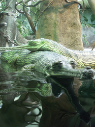 Similar image 289511