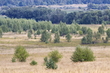 Similar image 289518