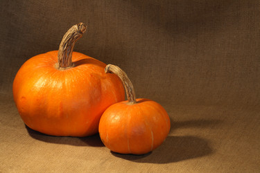 Similar image 289679