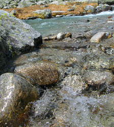 Similar image 289711