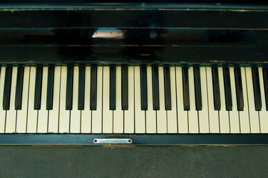 Similar image 289729