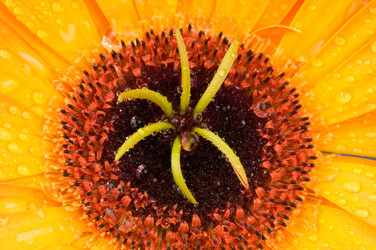 Similar image 289744