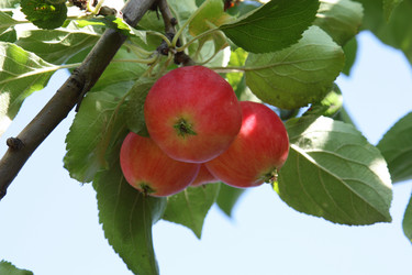 Similar image 289783