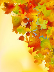 Similar image 289796