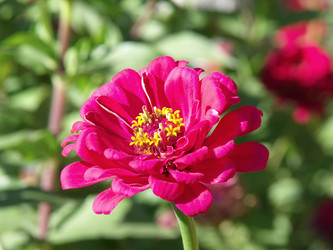 Similar image 289806