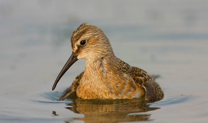 Similar image 289821