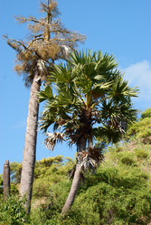 Similar image 289826