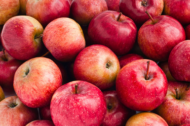 Similar image 289830