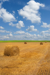 Similar image 289842