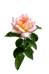 Similar image 289849