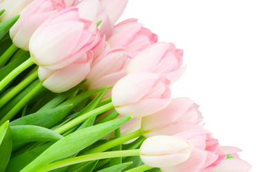 Similar image 289868