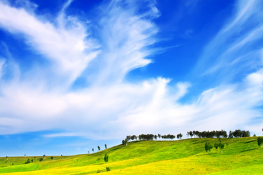 Similar image 289882