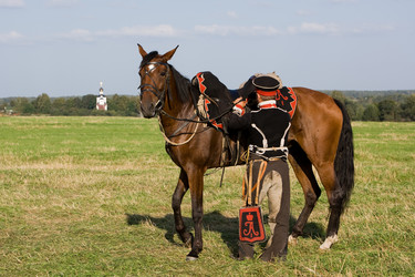 Similar image 289899