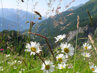 Similar image 289927