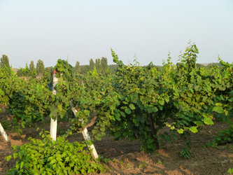 Similar image 289930