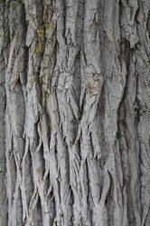 Similar image 289934