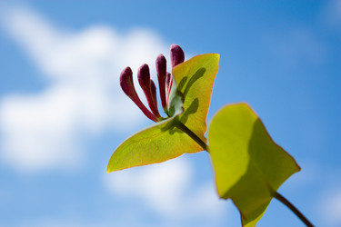 Similar image 289936