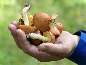 Similar image 289939