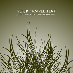 Similar image 289961