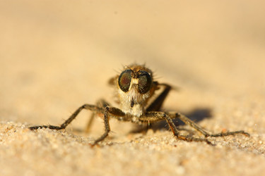 Similar image 289982