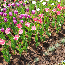 Similar image 289989