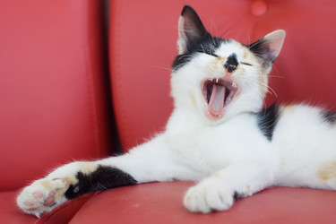 Similar image 290009