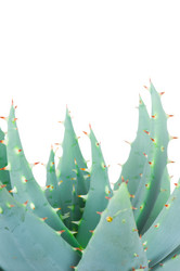 Similar image 290024