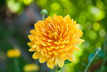 Similar image 290041