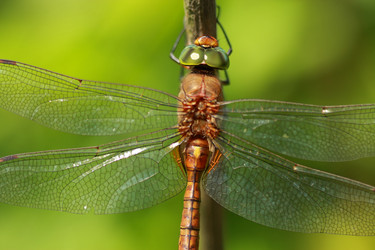 Similar image 290058