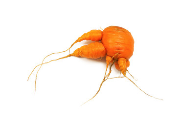 Similar image 290069