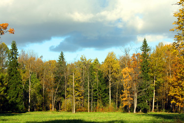 Similar image 290070